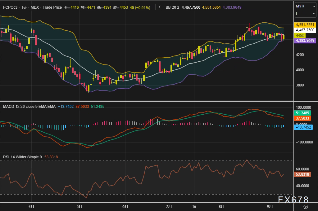 棕榈油市场观察：供应忧虑推升期价，需求疲软限制涨幅(图2)