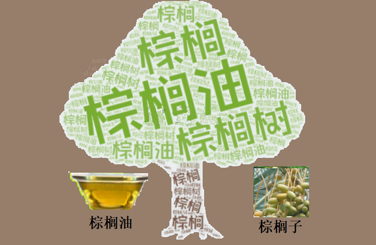 棕榈油绝地反击！空头回补+出口预期引爆2.46%暴涨，但多头真的安全了吗？